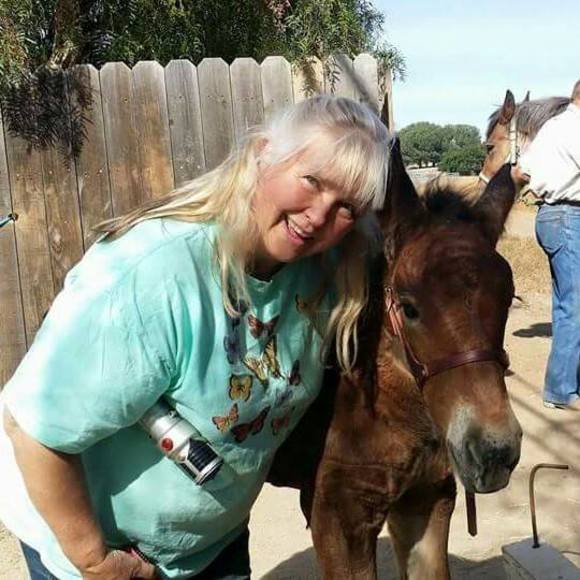 Meet your Posher, Donna - Picture 1 of 2